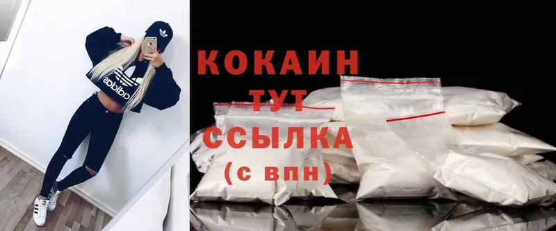 где купить   Венёв  Cocaine VHQ 